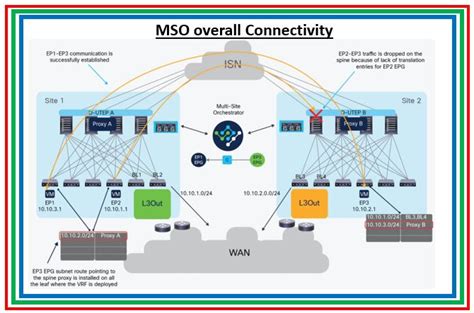 what is mso in telecom.